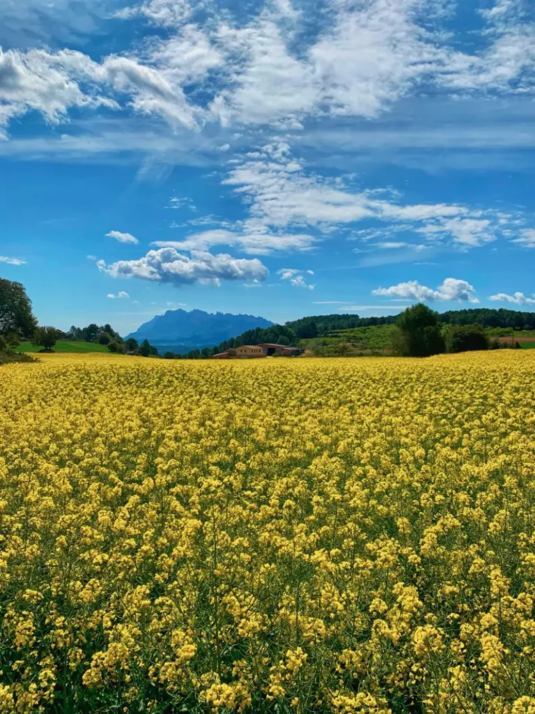 Ubicació central a Catalunya